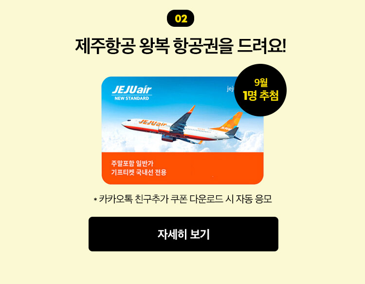제주항공 왕복이용권